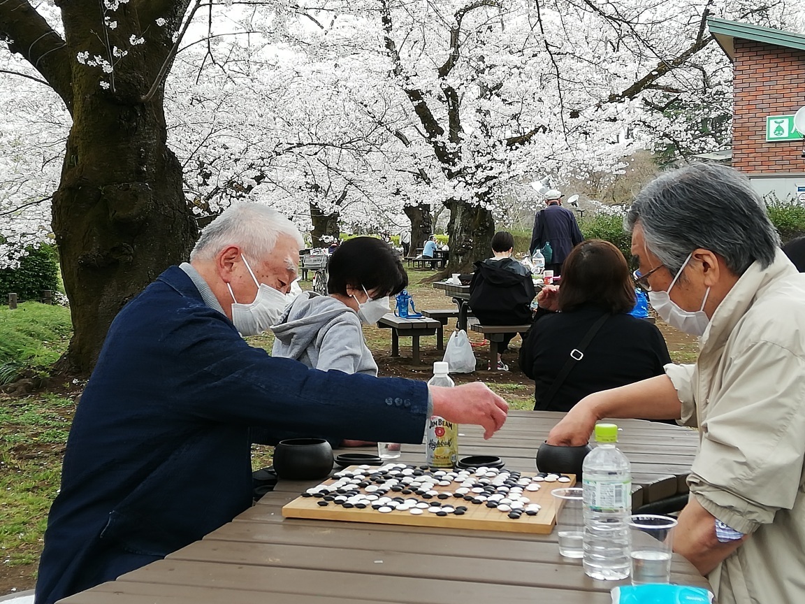 桜の洪水のなかに木村新さんの姿が 呆け天残日録